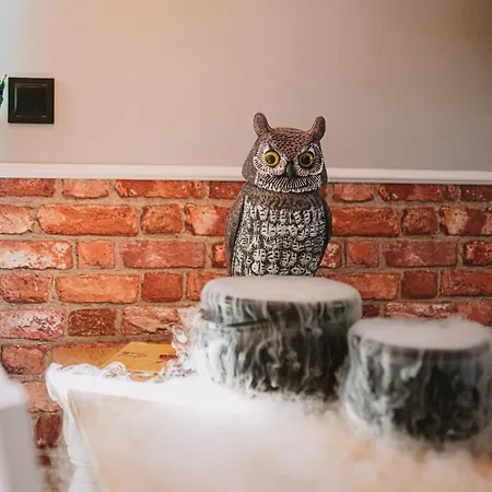 The Chamber Of Magic - Magiczna Komnata Lejlighed *